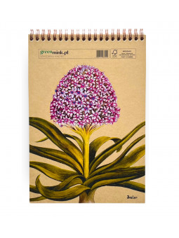 Szkicownik Hiacynt Besler