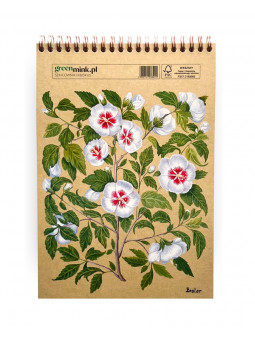 Szkicownik Hibiskus Besler