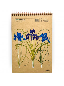 Szkicownik Irys Besler