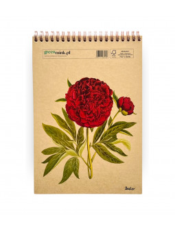 Szkicownik Piwonia Besler