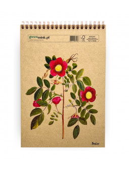 Szkicownik Róża Besler