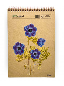 Szkicownik Zawilec Besler