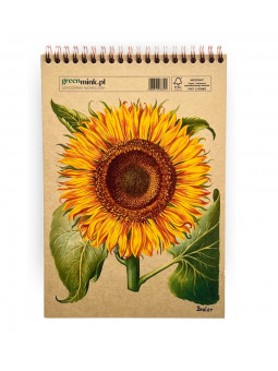 Szkicownik Słonecznik Besler