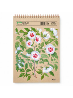 Szkicownik Hibiskus Besler