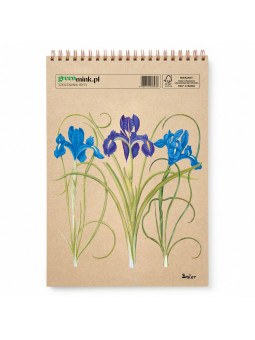 Szkicownik Irys Besler