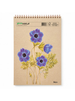 Szkicownik Zawilec Besler