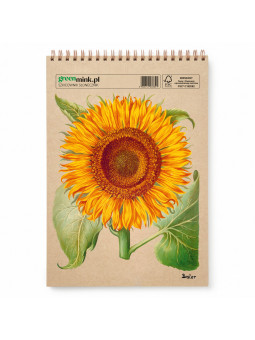 Szkicownik Słonecznik Besler