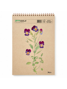 Szkicownik Bratek Besler