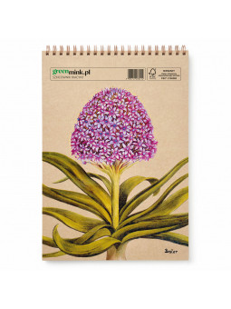 Szkicownik Hiacynt Besler