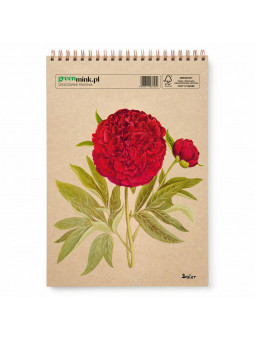 Szkicownik Piwonia Besler