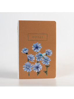 Notes Kwiaty Polskie Cykoria